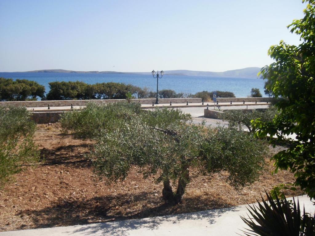Kouremenos Beach Apartments Palekastro Extérieur photo